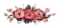 Peony Swag